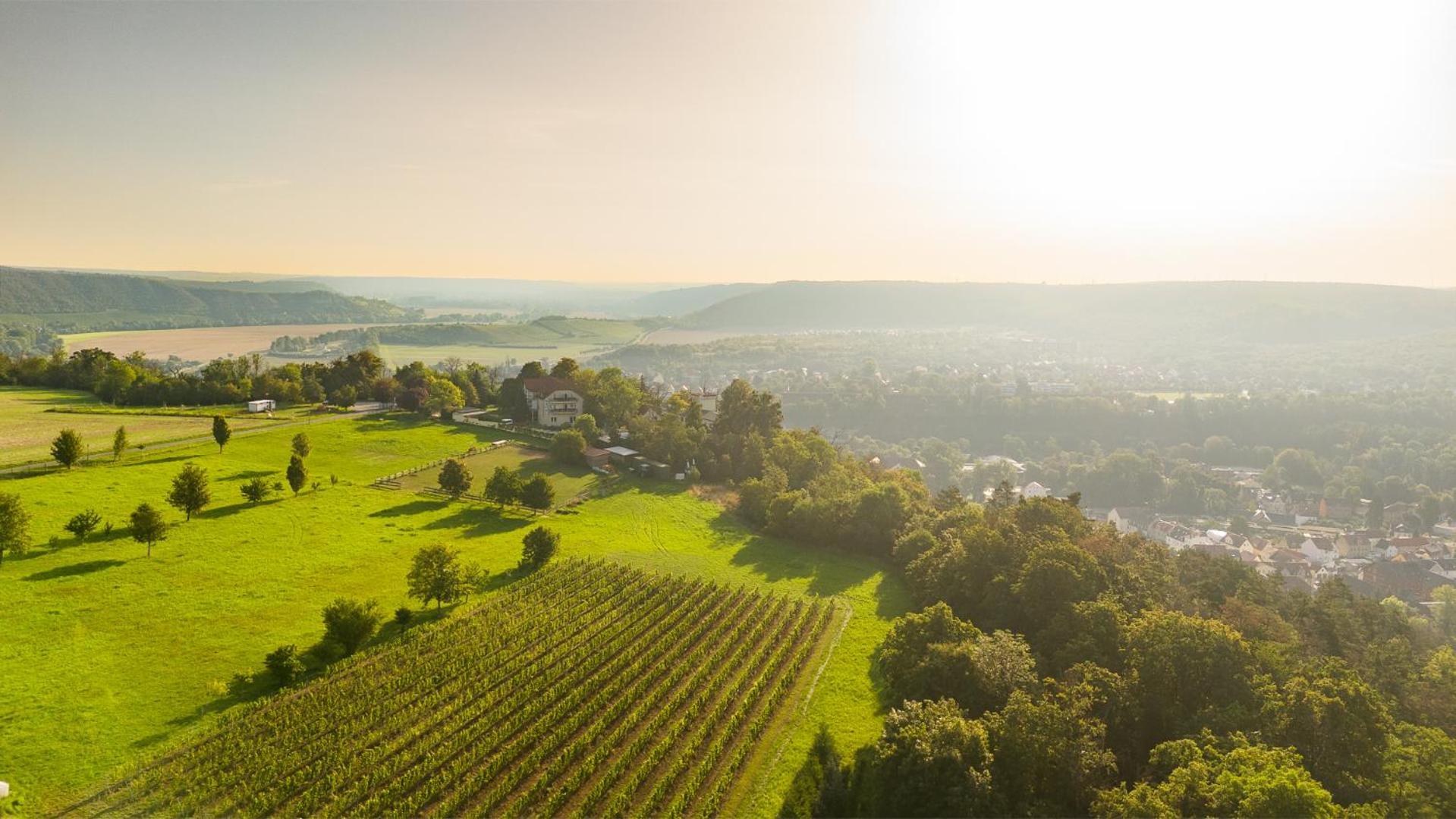 Berghotel Wilhelmsburg Bad Kosen Dış mekan fotoğraf